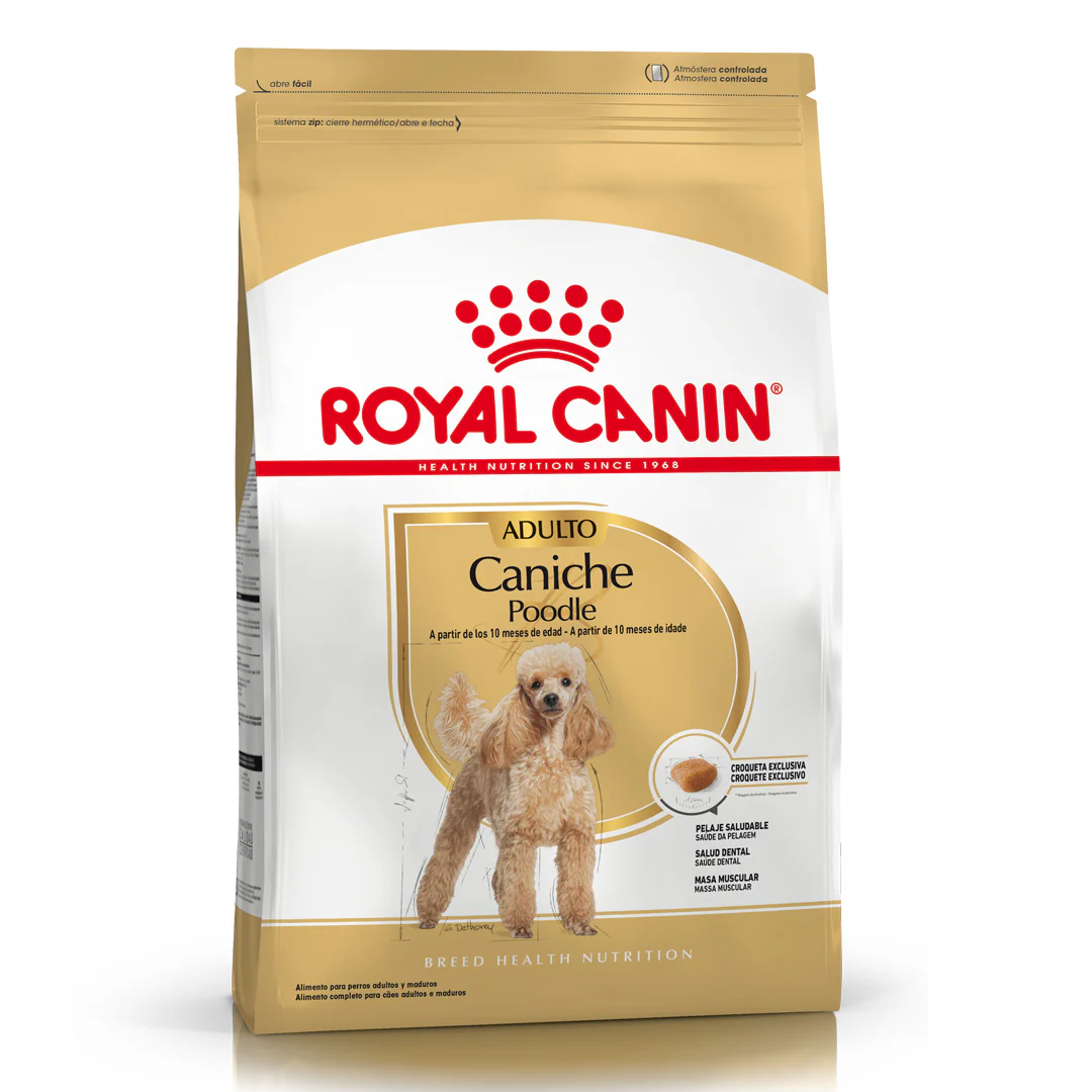 Alimento Royal Canin Perro Caniche Adulto